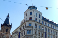 vlaštovka